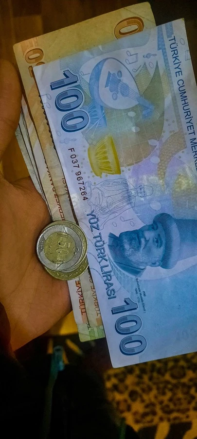 100 Türk lirası ve 50 kuruş; fiyat düzeyi örneğinde kullanılan para birimi